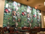 Remodelación de Tiendas Juan Valdez Café en Estados Unidos.