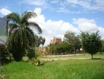 Estudio ambiental  y diseño paisajístico. Macroproyecto  zona t y operación urbana