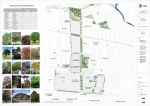 Estudio ambiental  y diseño paisajístico. Macroproyecto  zona t y operación urbana