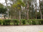 Paisajismo Hacienda La Gavia