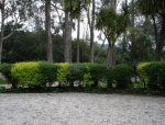 Paisajismo Hacienda La Gavia