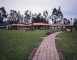 Casa Tulipán