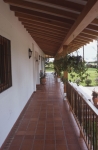 Casa Tulipán