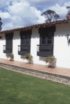 Casa Tulipán